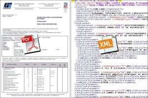Rapports EDI (CSV, PDF, ODS, XML, etc.)